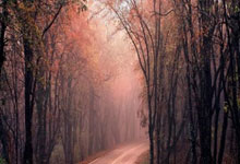 “俄军加速挺进，乌克兰面临生死攸关的转折点”