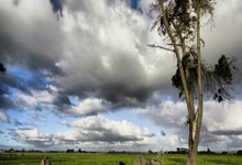 “俄军加速挺进，乌克兰面临生死攸关的转折点”